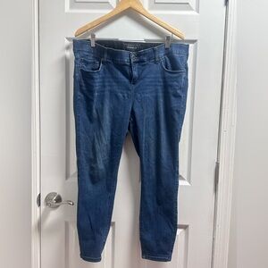 torrid Indigo Skinny Jeans